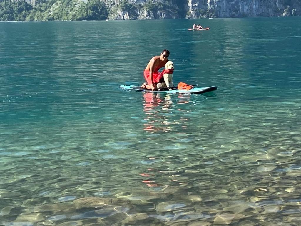 Doodle'S Amazing Chalet -Walensee - Flumserberg - Churfirsten - Heidiland - Pool - Sauna Mols エクステリア 写真