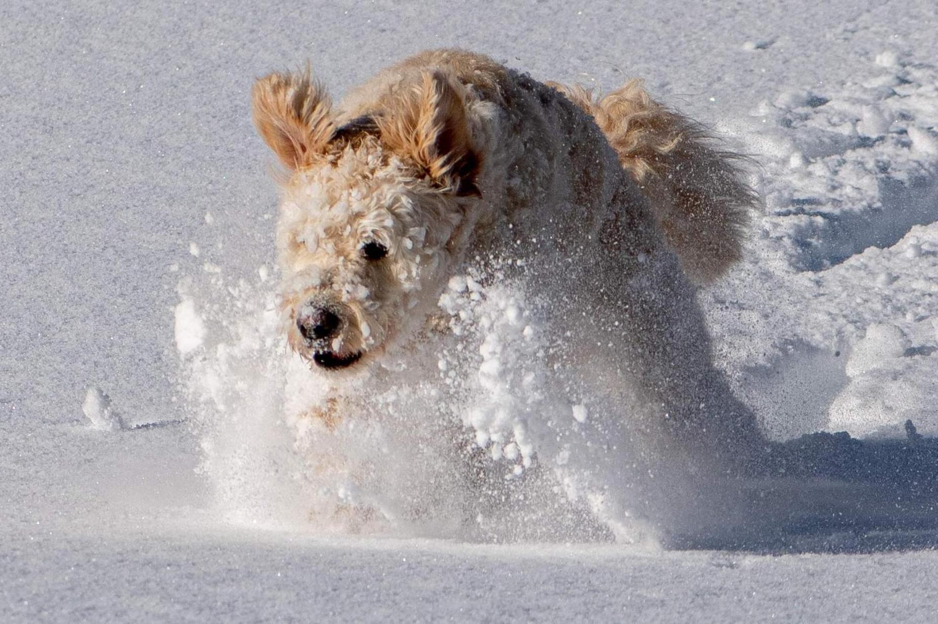 Doodle'S Amazing Chalet -Walensee - Flumserberg - Churfirsten - Heidiland - Pool - Sauna Mols エクステリア 写真
