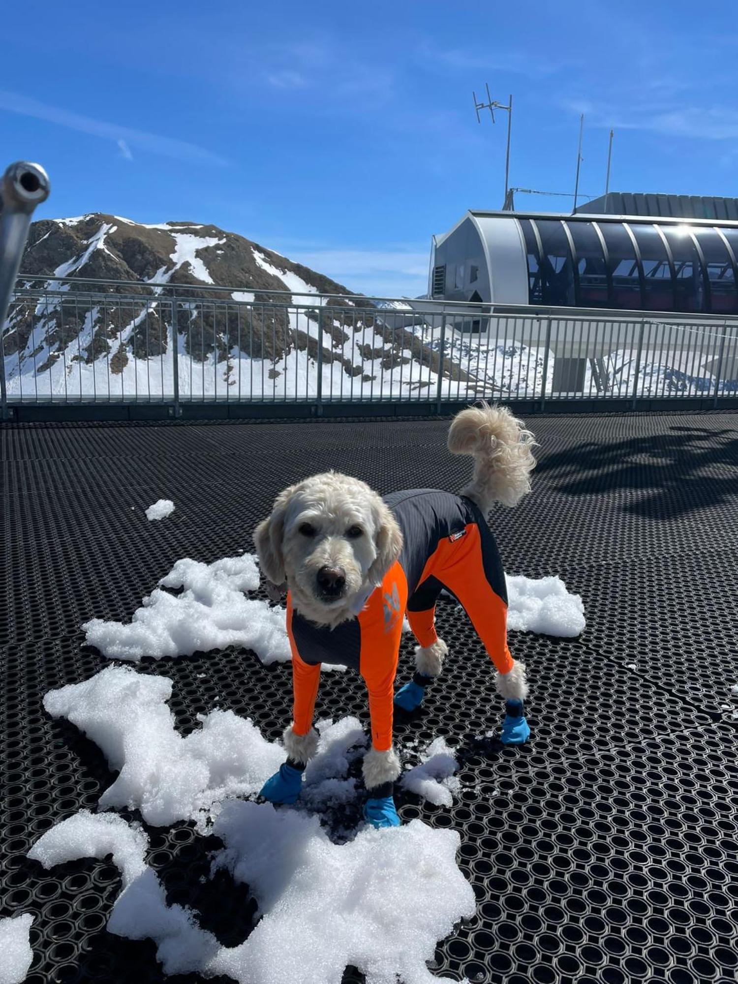 Doodle'S Amazing Chalet -Walensee - Flumserberg - Churfirsten - Heidiland - Pool - Sauna Mols エクステリア 写真