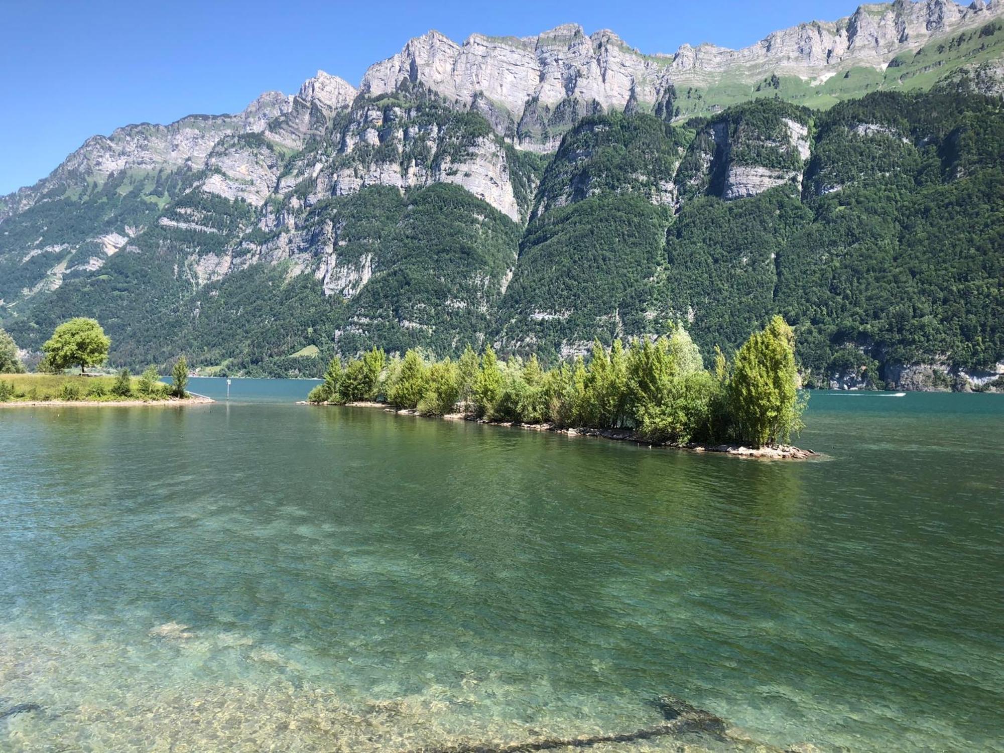 Doodle'S Amazing Chalet -Walensee - Flumserberg - Churfirsten - Heidiland - Pool - Sauna Mols エクステリア 写真